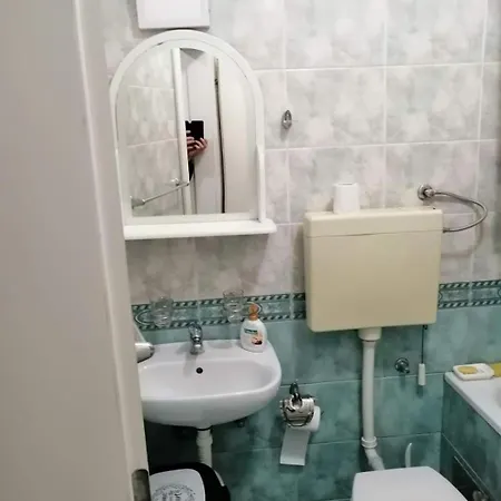 Dunja - Sajam Novi Sad